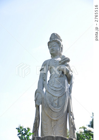 横須賀の信楽寺の見かえり観音 2765516