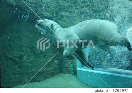 日本平動物園 2766974