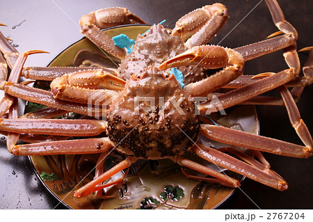 松葉ガニ 松葉がに 蟹 松葉ガニ 松葉がに 蟹 2767204