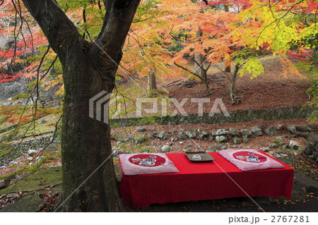 養老公園 2767281