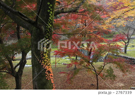 養老公園 養老公園 2767339