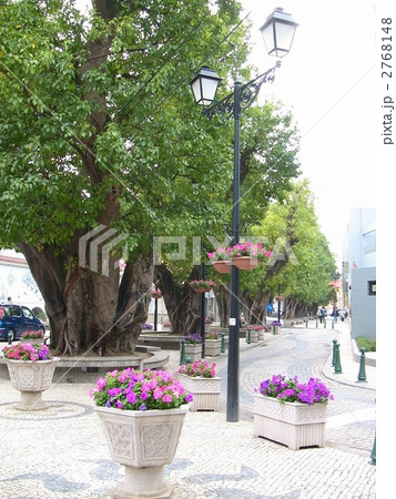 マカオ　タイパ島　タイパビレッジ 2768148