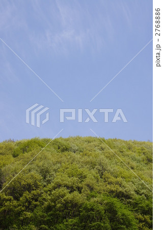 植樹祭 植樹祭 2768886