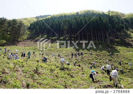 植樹祭、子供たちといっしょに植林プロジェクト 植樹祭、子供たちといっしょに植林プロジェクト 2768888