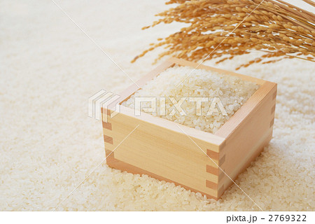 米 米 2769322