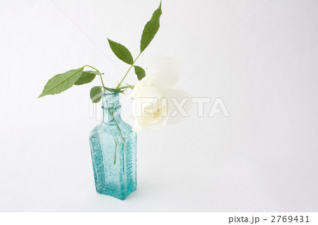 アイスバーグ 2769431