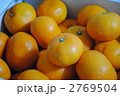 みかん☆ 2769504