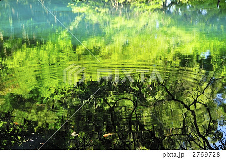鳥海山湧水地・丸池様 2769728