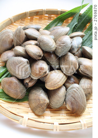 北海あさり 2769870