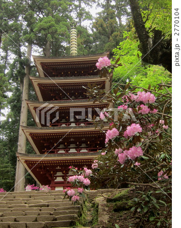 室生寺の五重塔とシャクナゲ 室生寺の五重塔とシャクナゲ 2770104