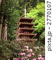 室生寺の五重塔とシャクナゲ 2770107