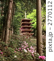 室生寺の五重塔とシャクナゲ 2770112