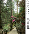室生寺奥の院 2770119