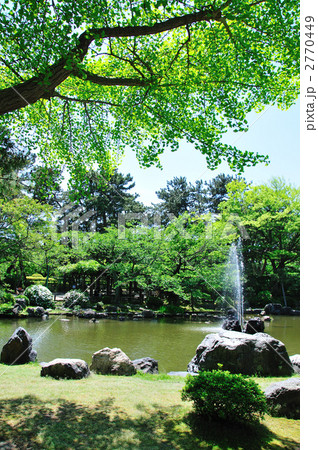 新緑の白山公園 新緑の白山公園 2770449