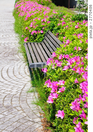 ツツジとベンチ  2770486