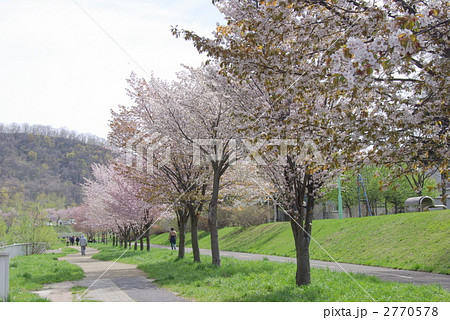 発寒川緑地 発寒川緑地 2770578