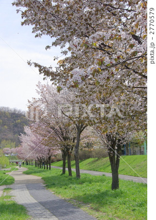 発寒川緑地 発寒川緑地 2770579
