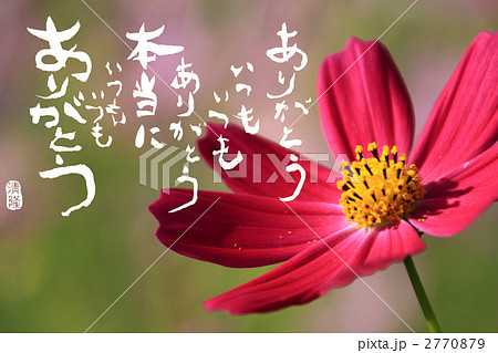 ありがとう 2770879