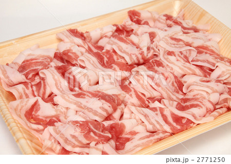 豚肉 小間切れ　横位置 2771250