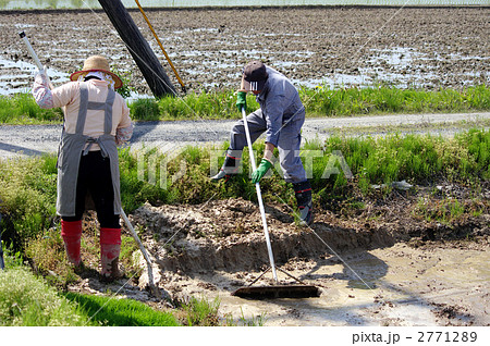 代掻き作業 代掻き作業 2771289