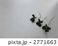 四つ葉のクローバー３本 2771663