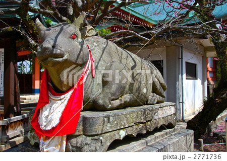 北野天満宮の「臥牛」の像(京都市上京区) 北野天満宮の「臥牛」の像(京都市上京区) 2771736