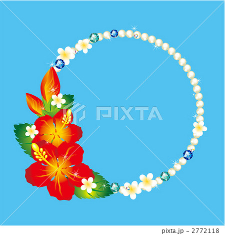 ハイビスカス 2772118