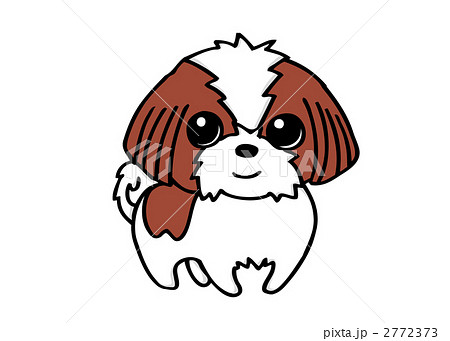 Shih Tzu Dog Illustration Stock Illustration