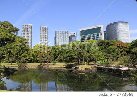 浜離宮恩賜庭園 2773069