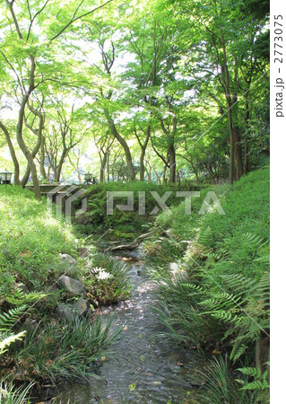 小石川後楽園 小石川後楽園 2773075
