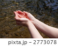 2773078