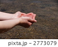 2773079