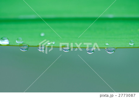水滴 2773087