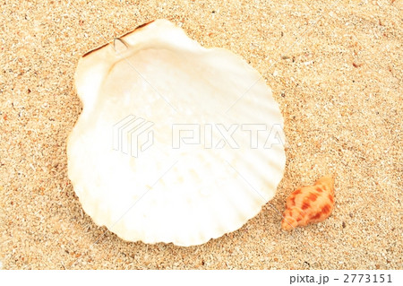 貝のメッセージカード 2773151