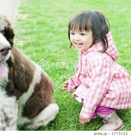 ハーフの少女と犬 2773153