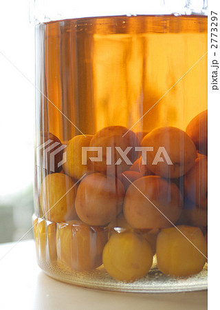 手作り梅酒 手作り梅酒 2773297