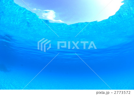 浅瀬の海の中 2773572