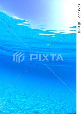 浅瀬の海の中 2773573