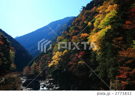 みたらい渓谷の紅葉 2773832
