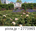 日時計　ガーデニング　庭園　薔薇 2773965