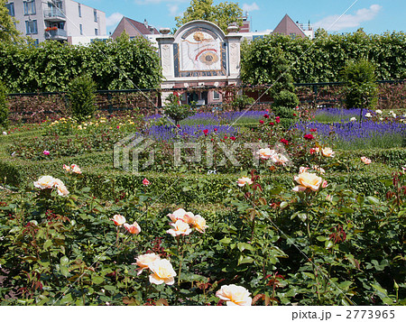 日時計　ガーデニング　庭園　薔薇 2773965