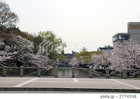 岡崎界隈 琵琶湖疎水の桜並木 岡崎界隈 琵琶湖疎水の桜並木 2774508