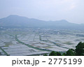 千枚田 2775199