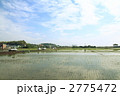 田植え*4 2775472