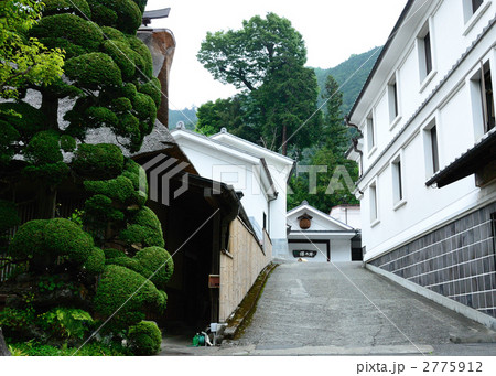 澤乃井酒造 2775912