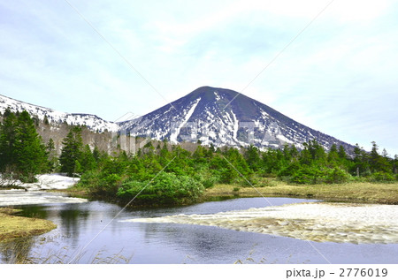 青森県　春の睡蓮沼 2776019