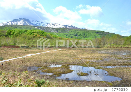 春の田代湿原 2776050