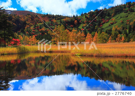 芳ヶ平湿原の紅葉 芳ヶ平湿原の紅葉 2776740