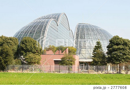 新木場の植物園 新木場の植物園 2777608