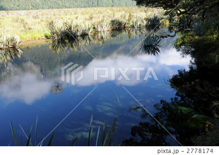 ニュージーランド　ミラーレイク 2778174